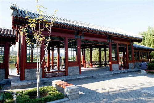 匠心雕琢，藝承古今——嘉興仿古門窗與東陽藝隆古建工程的傳承與創(chuàng)新